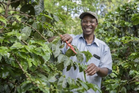 De beste temperatuur voor koffie is 20 graden